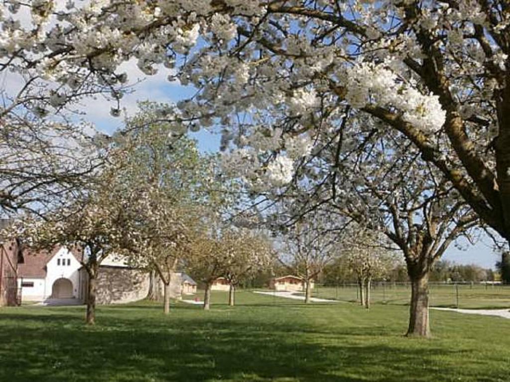 Domaine De Soignolles Hotel Bagian luar foto